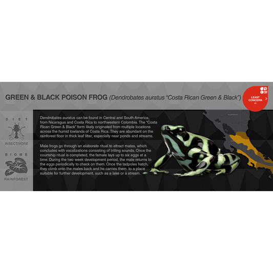 Green & Black Poison Frog (Dendrobates auratus) - Black Series Vivarium Label