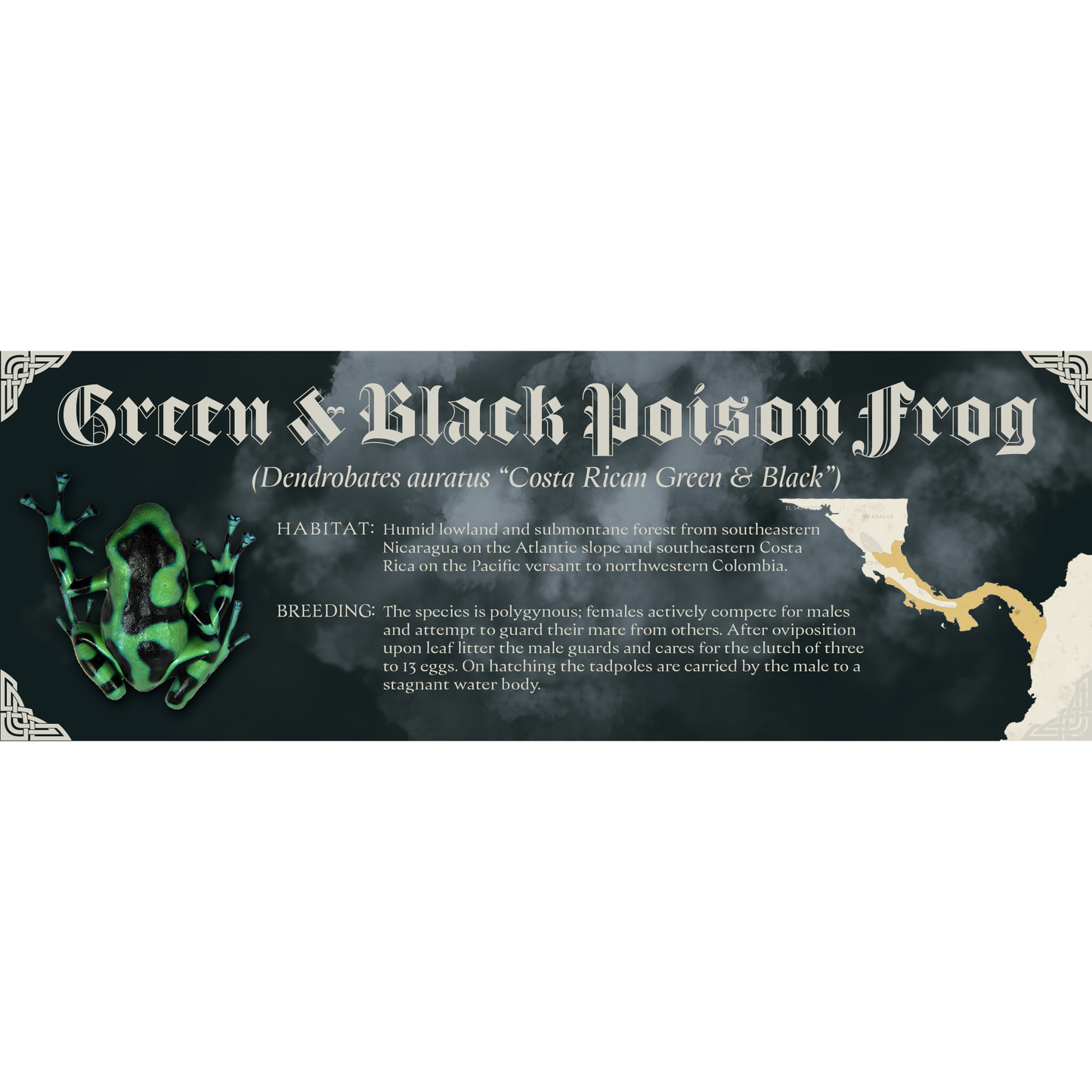 The Dark Mark - Gothic Style Special Edition Halloween Vivarium Label