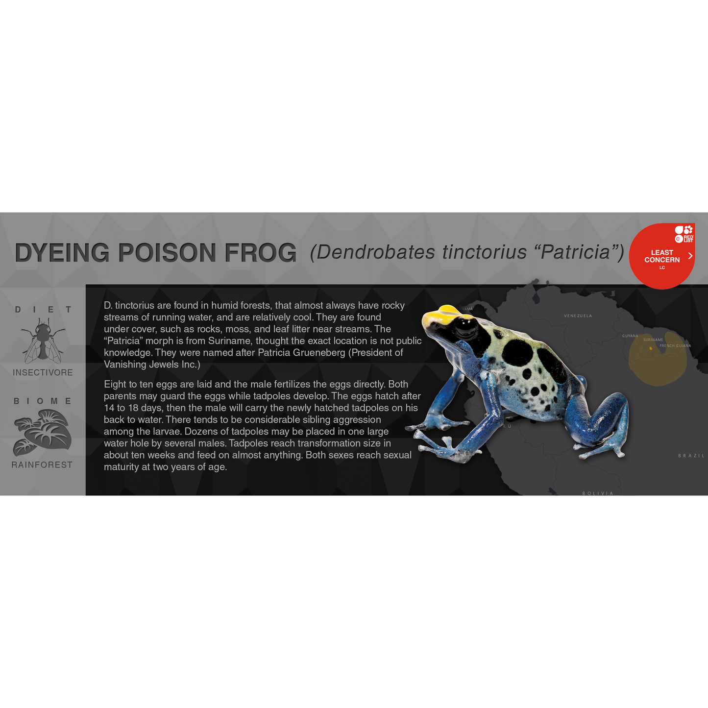 Dyeing Poison Frog (Dendrobates tinctorius) - Black Series Vivarium Label