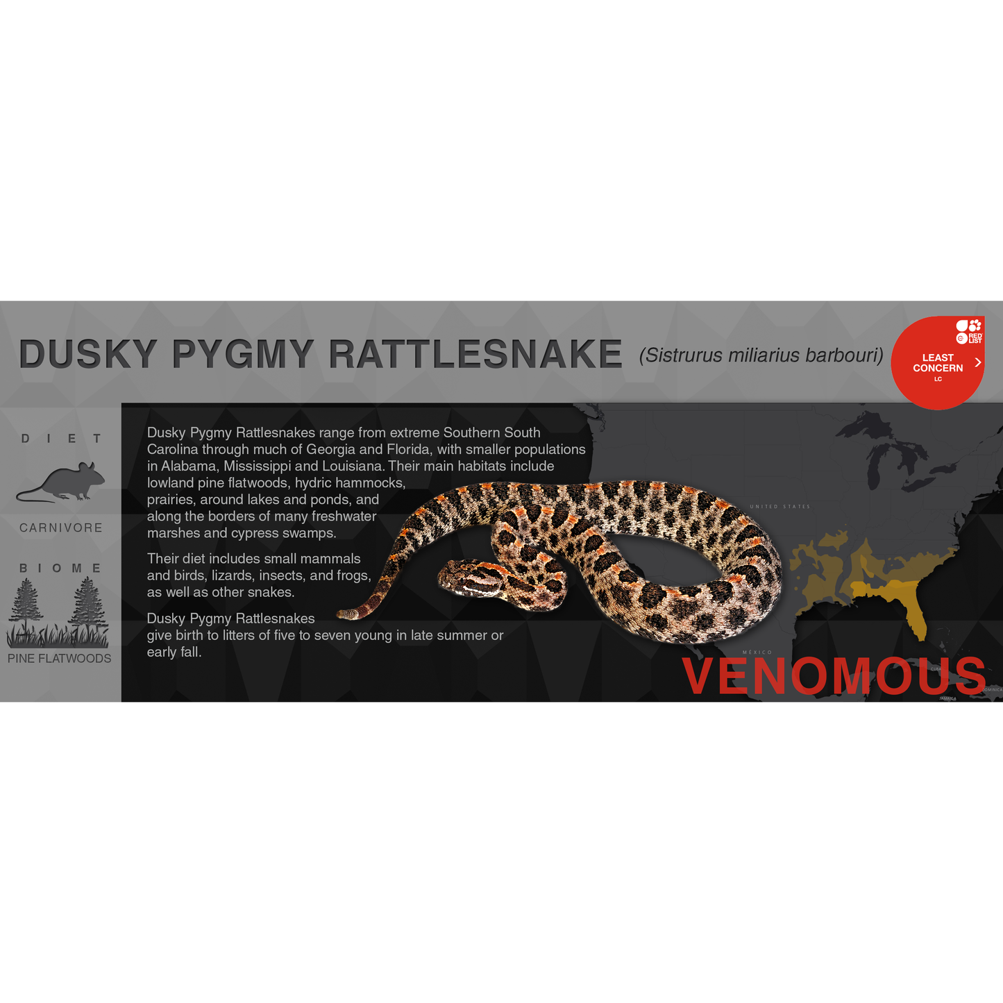 Pygmy Rattlesnake (Sistrurus miliarius) - Black Series Vivarium Label