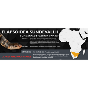 Sundevall's Garter Snake (Elapsoidea sundevallii) Standard Vivarium Label