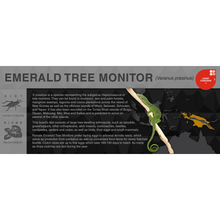 Load image into Gallery viewer, Emerald Tree Monitor (Varanus prasinus) - Black Series Vivarium Label