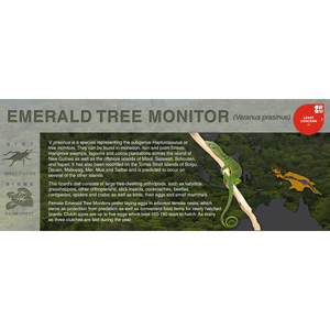 Emerald Tree Monitor (Varanus prasinus) - Black Series Vivarium Label