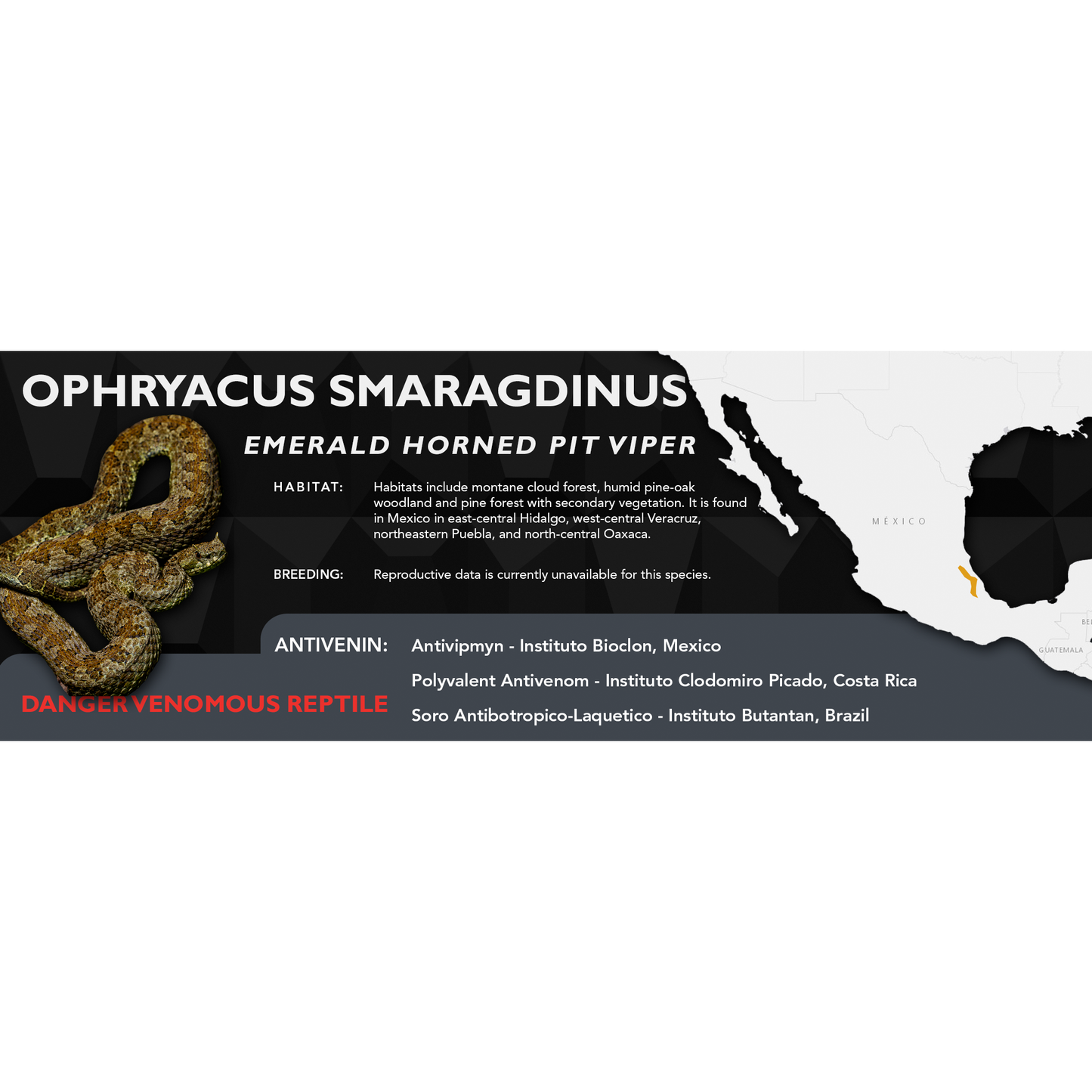 Emerald Horned Pit Viper (Ophryacus smaragdinus) Standard Vivarium Label