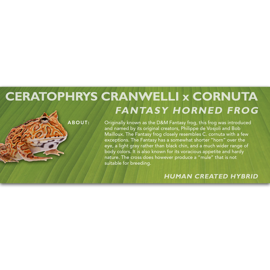 Fantasy Horned Frog (Ceratophrys cranwelli x cornuta) - Classic Vivarium Label