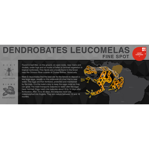Dendrobates leucomelas - Black Series Vivarium Label