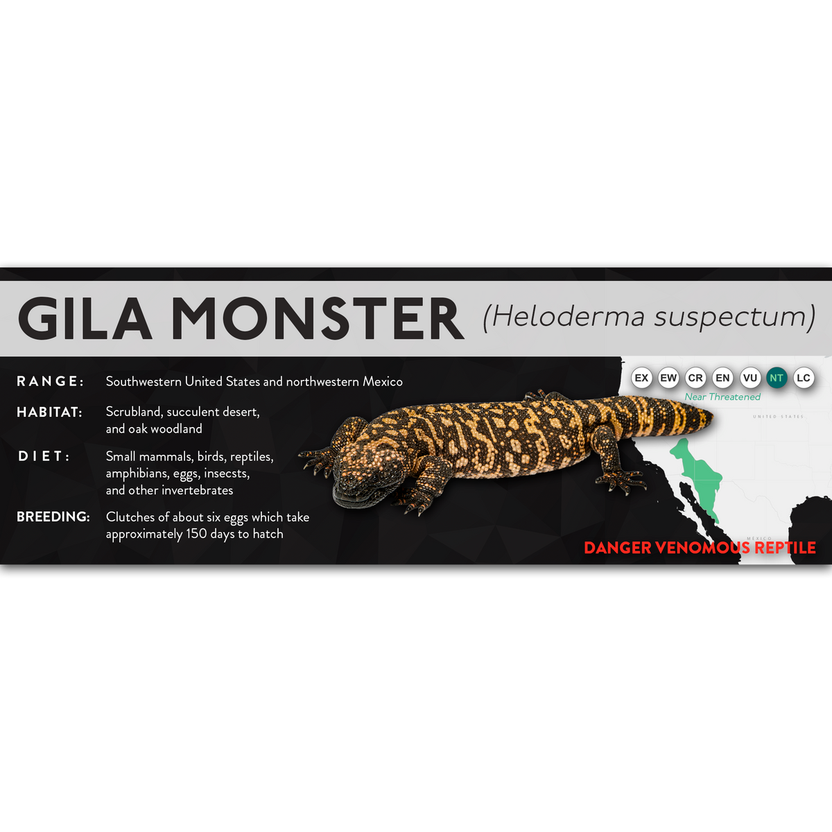 Gila Monster (Heloderma suspectum) - X Label