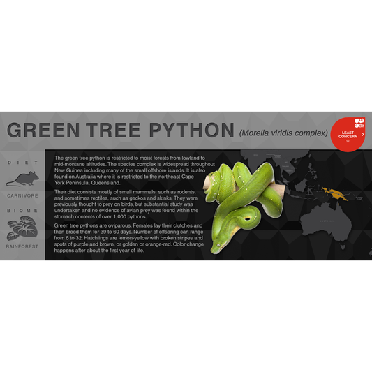 Green Tree Python (Morelia azurea & Morelia viridis) - Black Series Vivarium Label