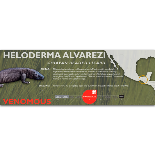 Chiapan Beaded Lizard (Heloderma alvarezi) Classic Vivarium Label