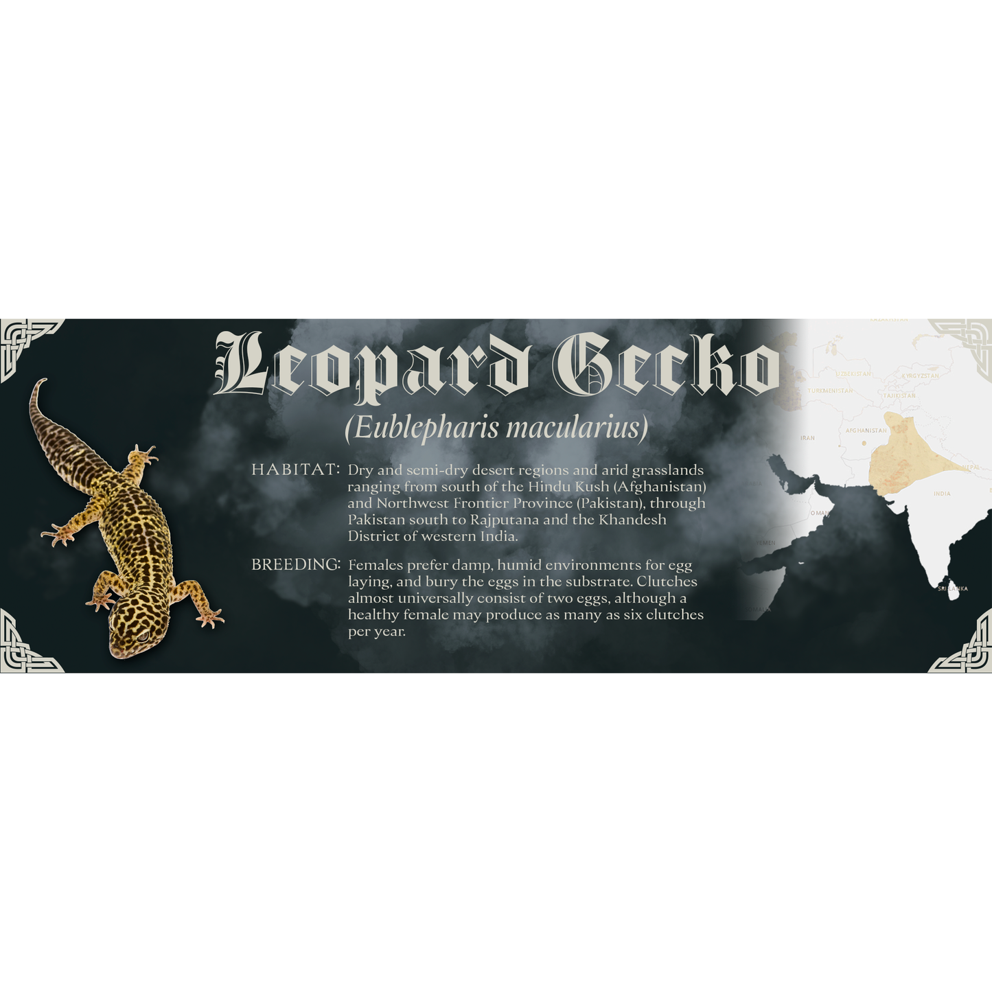 The Dark Mark - Gothic Style Special Edition Halloween Vivarium Label