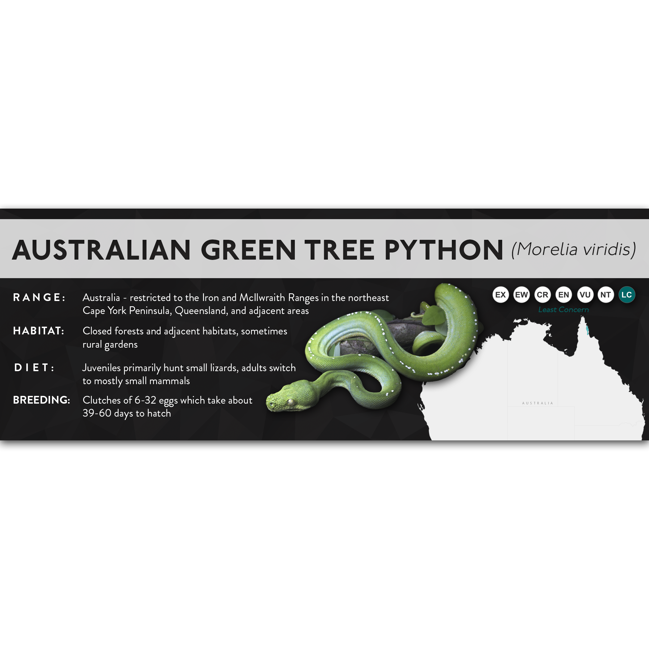 X Labels - Pythons – Cloud Forest Design