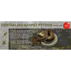 Centralian Carpet Python (Morelia bredli) - Black Series Vivarium Label
