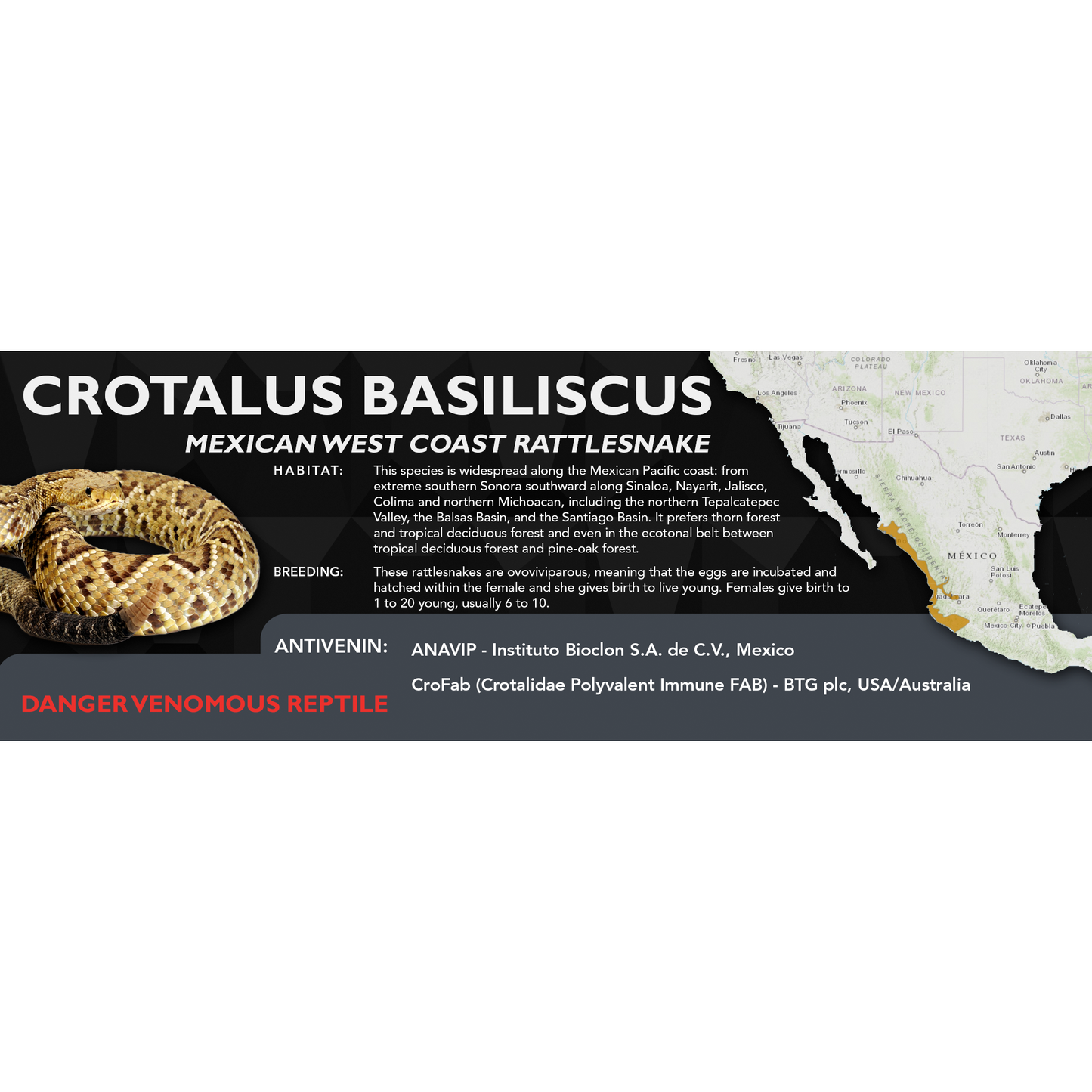 Mexican West Coast Rattlesnake (Crotalus basiliscus) Standard Vivarium Label