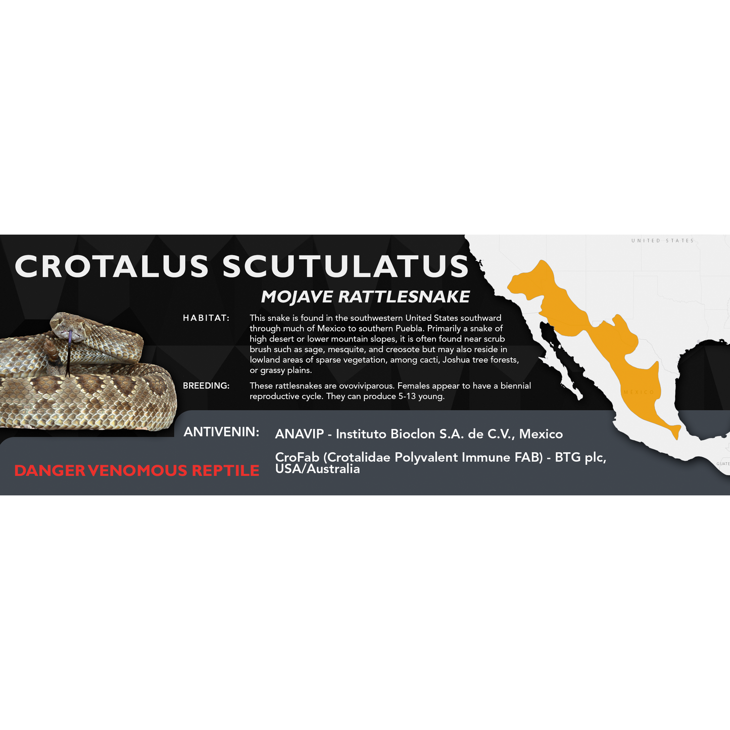 Mojave Rattlesnake (Crotalus scutulatus) Classic Vivarium Label