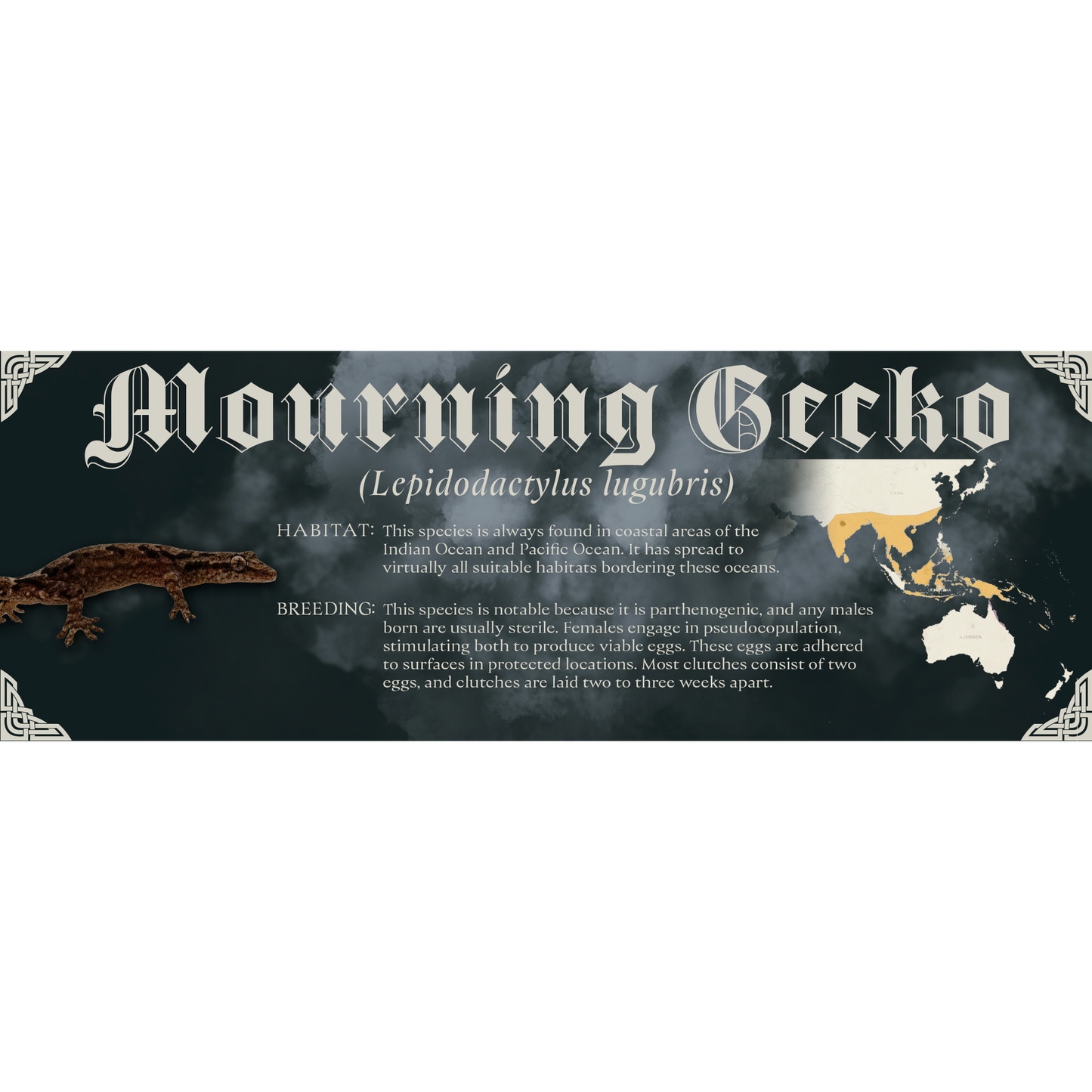 The Dark Mark - Gothic Style Special Edition Halloween Vivarium Label