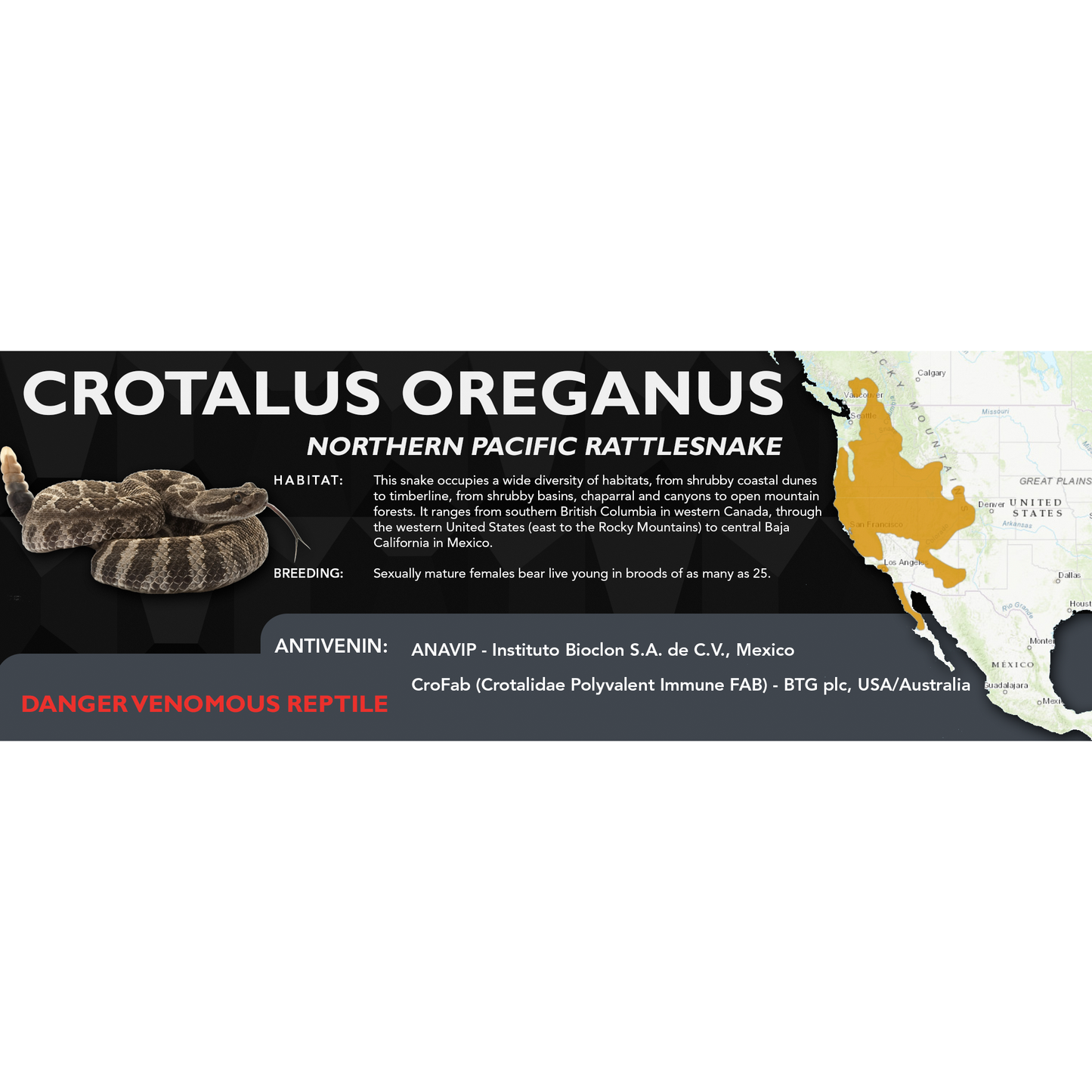 Northern Pacific Rattlesnake (Crotalus oreganus) Standard Vivarium Label