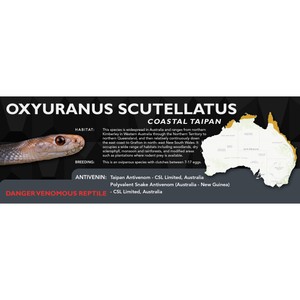 Coastal Taipan (Oxyuranus scutellatus) Standard Vivarium Label