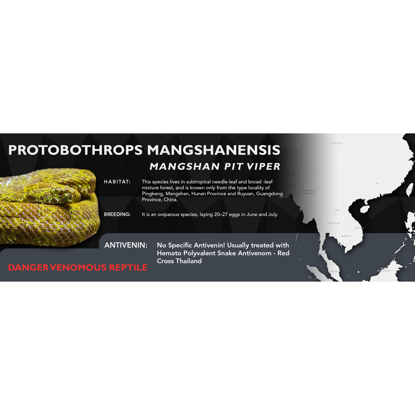 Mangshan Pit Viper (Protobothrops mangshanensis) Classic Vivarium Label