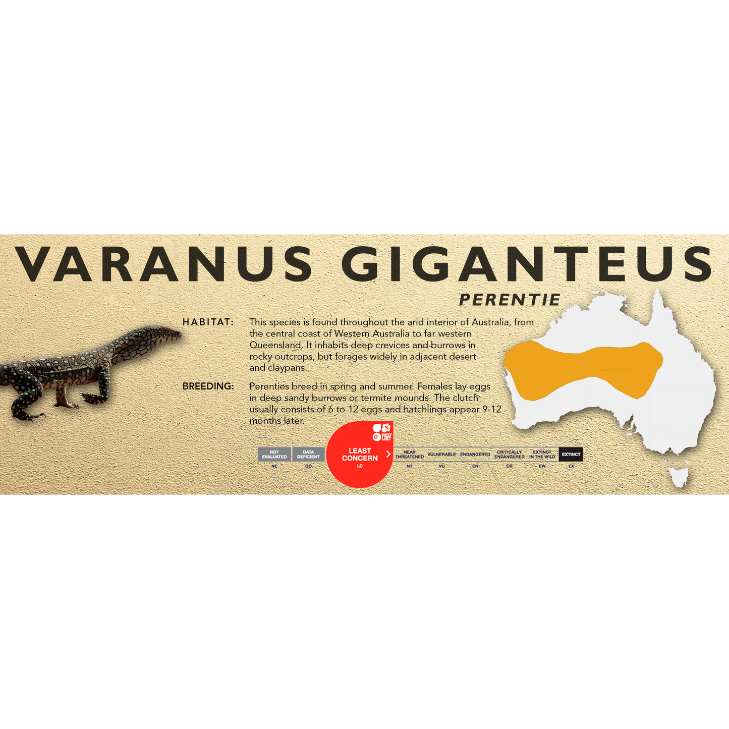 Perentie (Varanus giganteus) Classic Vivarium Label