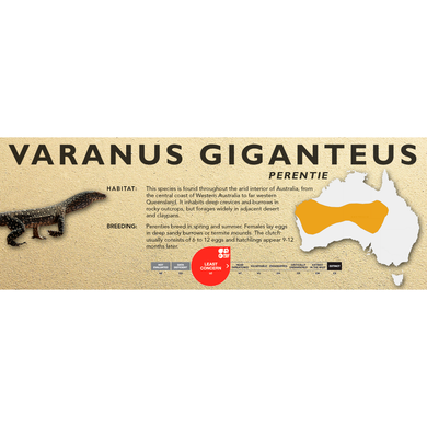 Perentie (Varanus giganteus) Standard Vivarium Label