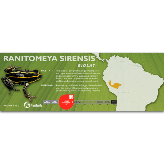 Ranitomeya sirensis - Classic Vivarium Label