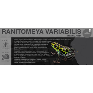 Ranitomeya variabilis "Highland" - Black Series Vivarium Label
