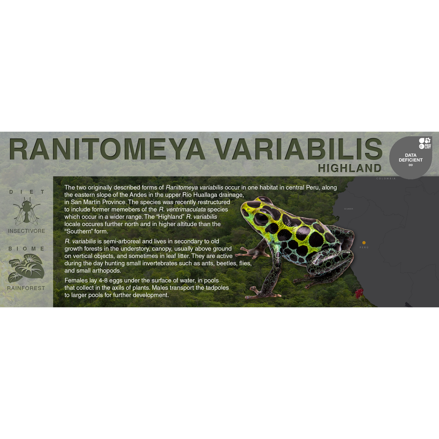 Ranitomeya variabilis "Highland" - Black Series Vivarium Label