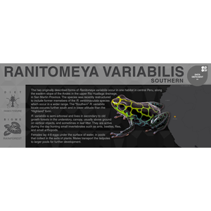 Ranitomeya variabilis "Southern" - Black Series Vivarium Label