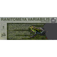 Load image into Gallery viewer, Ranitomeya variabilis &quot;Southern&quot; - Black Series Vivarium Label