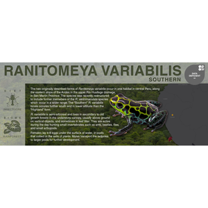 Ranitomeya variabilis "Southern" - Black Series Vivarium Label