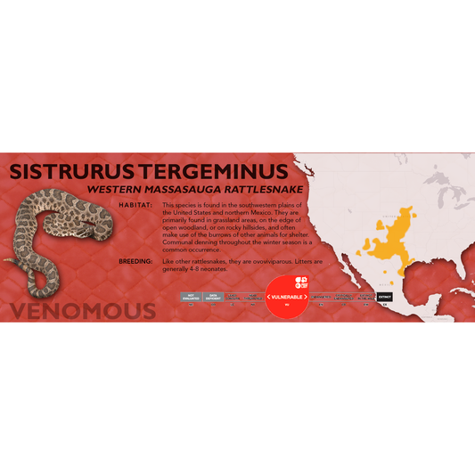 Western Massasauga Rattlesnake (Sistrurus tergeminus) Classic Vivarium Label