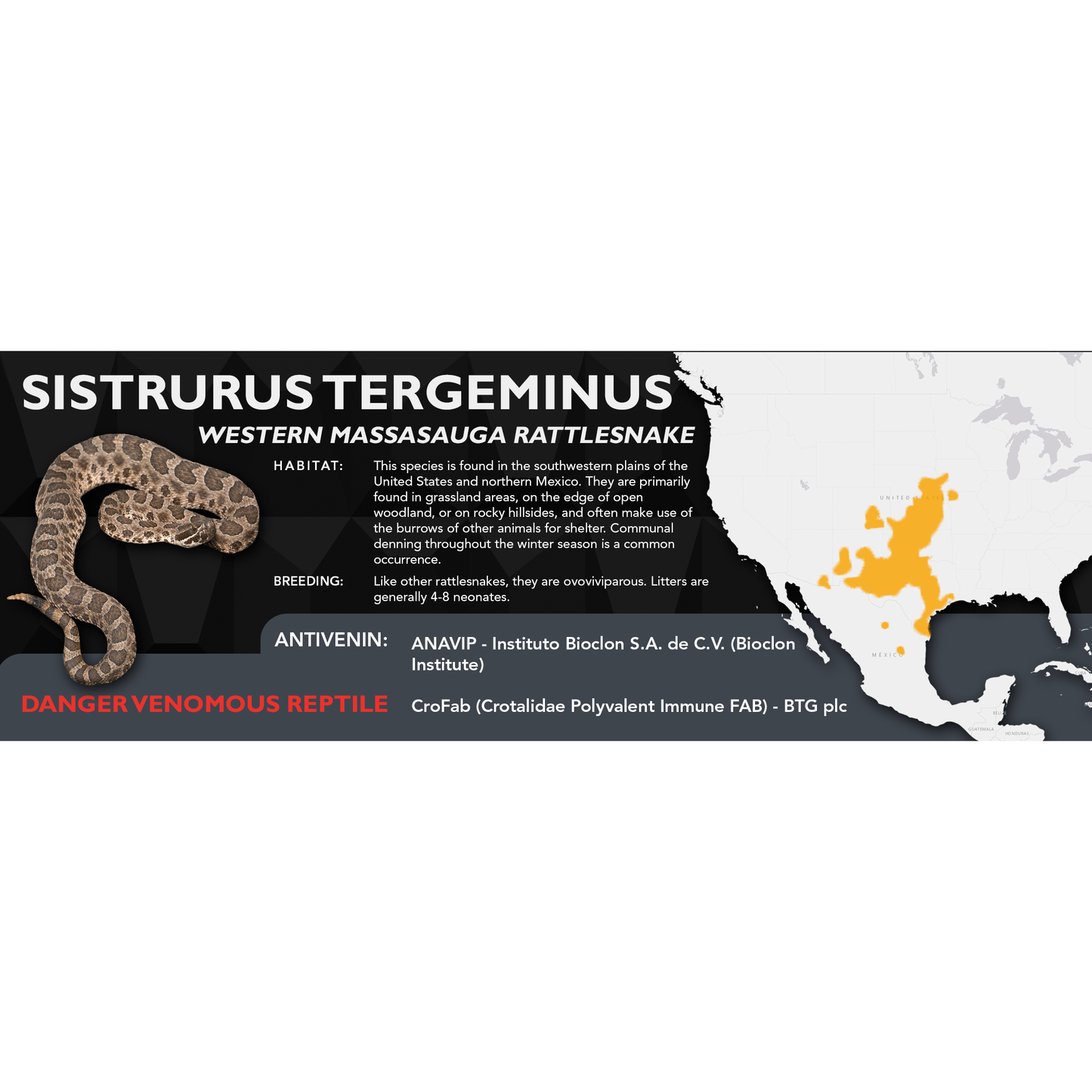 Western Massasauga Rattlesnake (Sistrurus tergeminus) Classic Vivarium Label