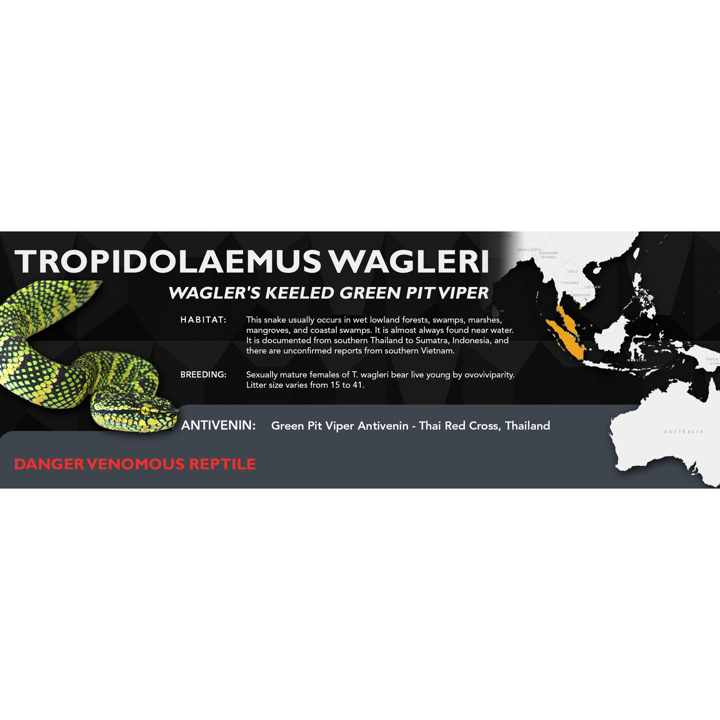 Wagler's Keeled Green Pit Viper (Tropidolaemus wagleri) Classic Vivarium Label