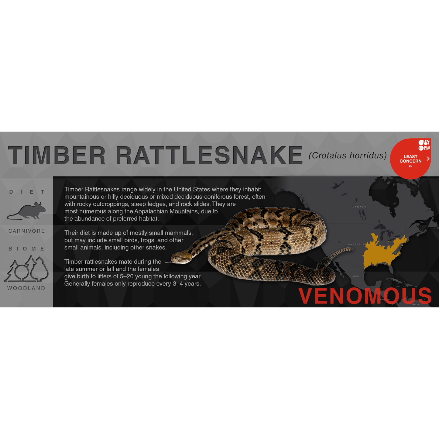 Timber Rattlesnake (Crotalus horridus) - Black Series Vivarium Label