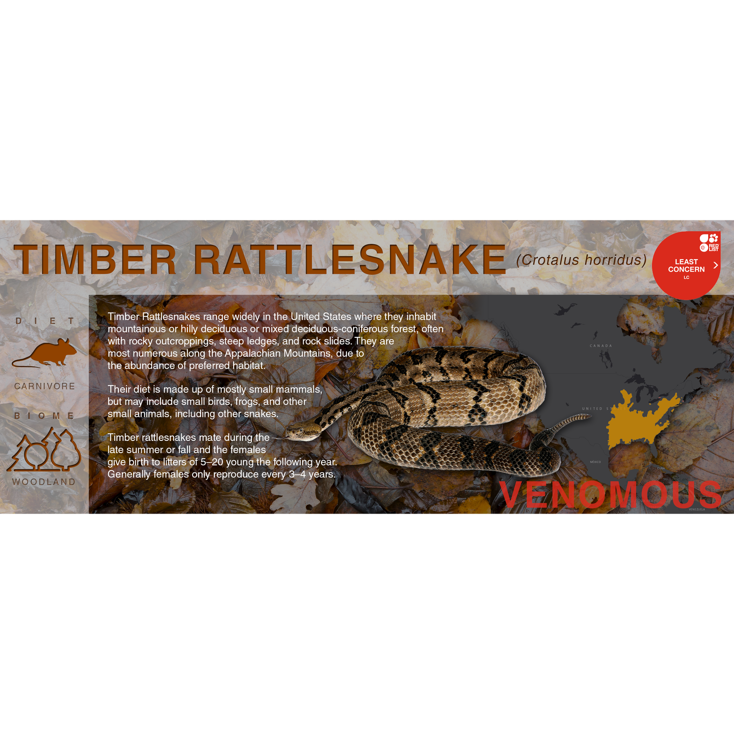 Timber Rattlesnake (Crotalus horridus) - Black Series Vivarium Label