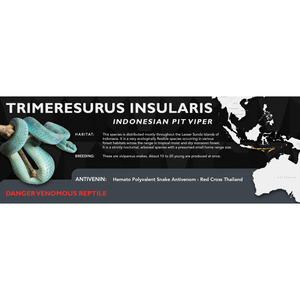 Indonesian Pit Viper (Trimeresurus insularis) Standard Vivarium Label