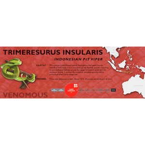 Indonesian Pit Viper (Trimeresurus insularis) Standard Vivarium Label