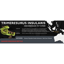 Load image into Gallery viewer, Indonesian Pit Viper (Trimeresurus insularis) Standard Vivarium Label
