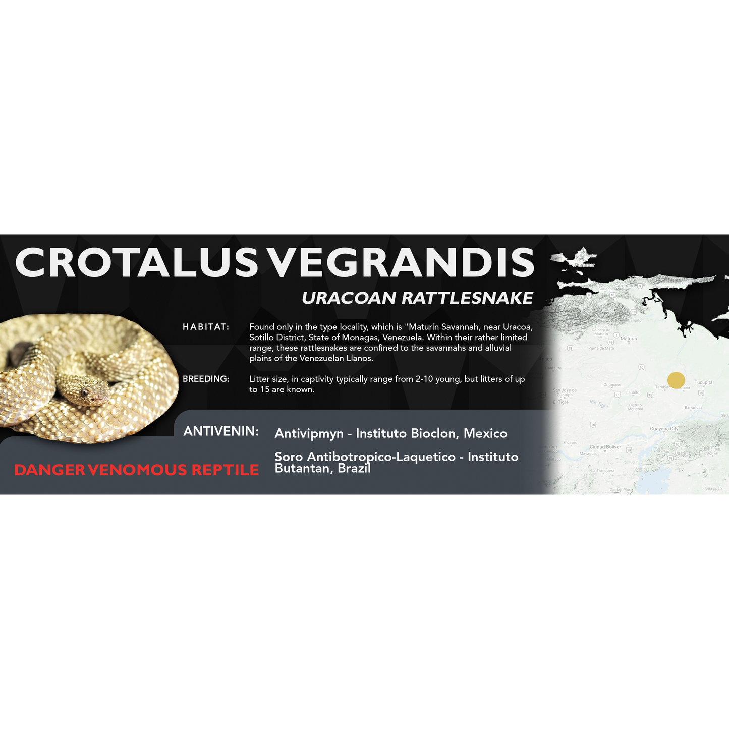 Uracoan Rattlesnake (Crotalus vegrandis) Classic Vivarium Label