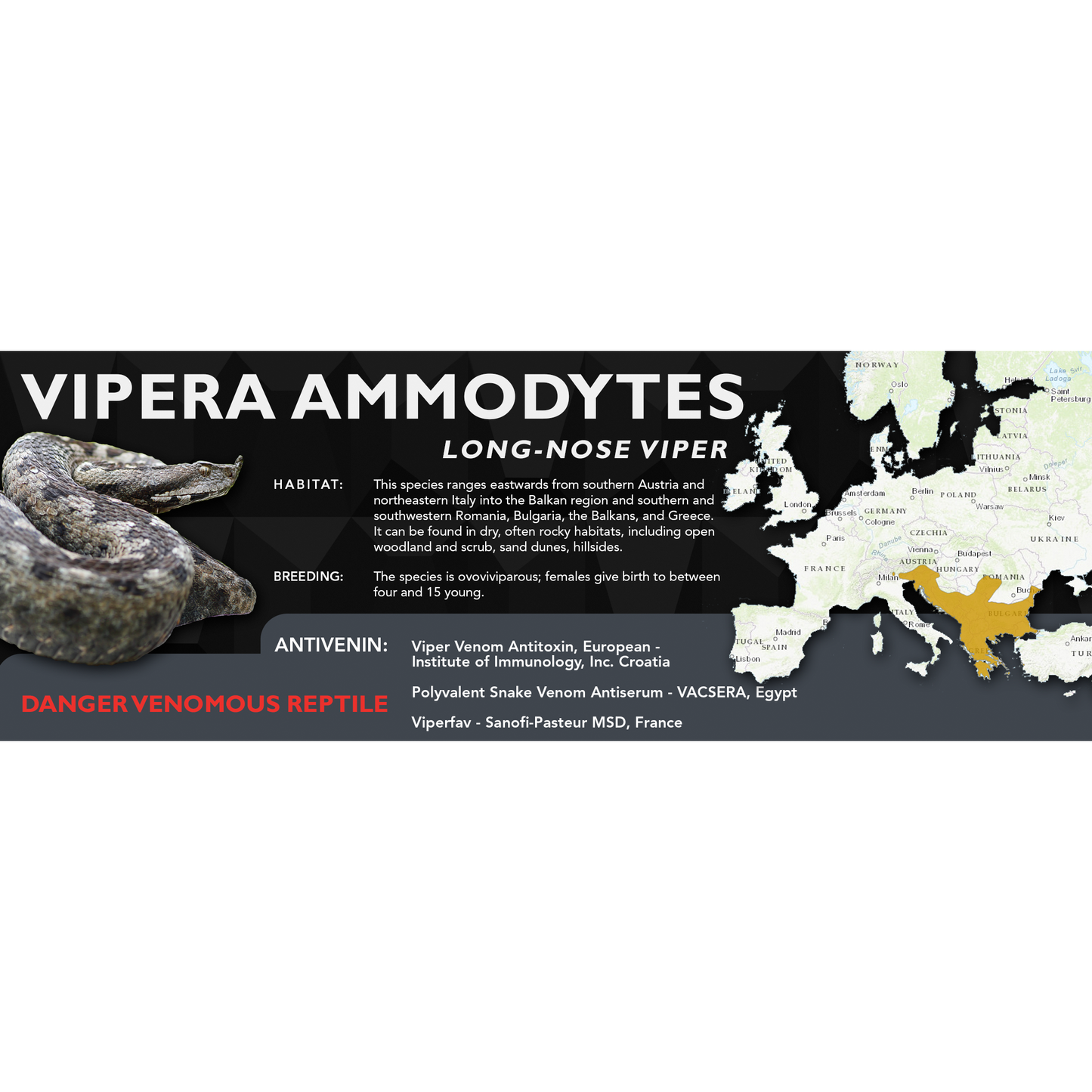 Long-Nose Viper (Vipera ammodytes) Standard Vivarium Label