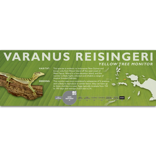 Yellow Tree Monitor (Varanus reisingeri) Classic Vivarium Label