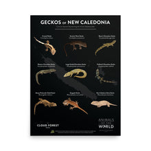 Load image into Gallery viewer, Geckos of New Caledonia - 18&quot; x 24&quot; Poster - Animals of the World Poster Series #2