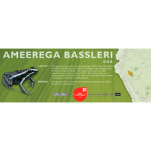 Load image into Gallery viewer, Ameerega bassleri - Standard Vivarium Label