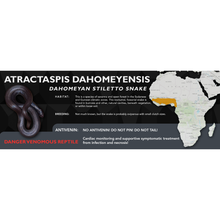 Load image into Gallery viewer, Dahomeyan Stiletto Snake (Atractaspis dahomeyensis) Standard Vivarium Label