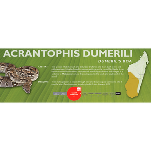 Dumeril's Boa (Acrantophis dumerili) Standard Vivarium Label