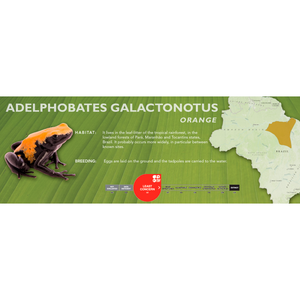 Adelphobates galactonotus - Standard Vivarium Label