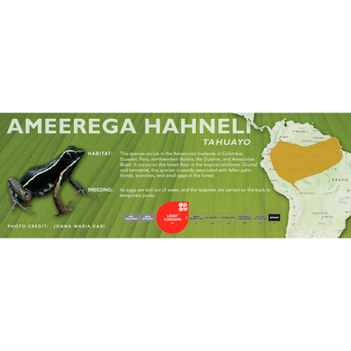 Ameerega hahneli - Standard Vivarium Label