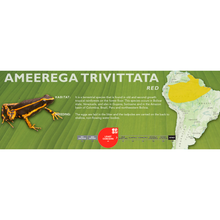 Load image into Gallery viewer, Ameerega trivittata - Standard Vivarium Label