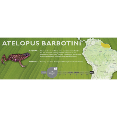 Atelopus barbotini - Standard Vivarium Label
