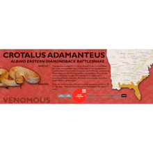 Load image into Gallery viewer, Eastern Diamondback Rattlesnake (Crotalus adamanteus) Standard Vivarium Label